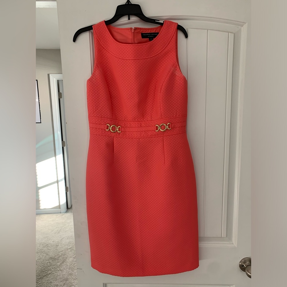 Coral lined dress with gold chains on front. Zipper in back.